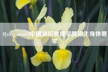 桂林中国消防救援学院招生身体要求
