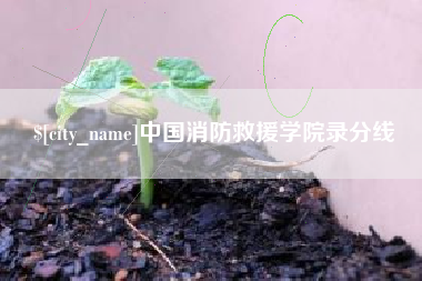 桂林中国消防救援学院录分线