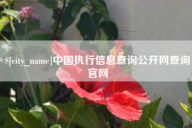 桂林中国执行信息查询公开网查询官网