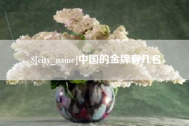 桂林中国的金牌有几名