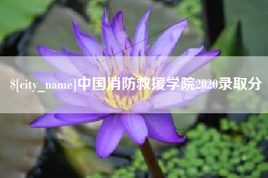 桂林中国消防救援学院2020录取分