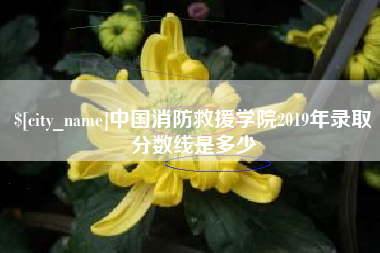 桂林中国消防救援学院2019年录取分数线是多少