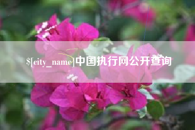 桂林中国执行网公开查询