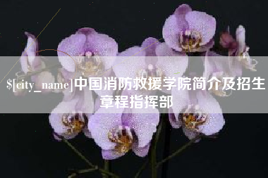 桂林中国消防救援学院简介及招生章程指挥部