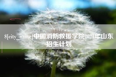 桂林中国消防救援学院2021年山东招生计划