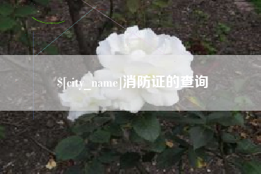 桂林消防证的查询