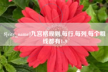 桂林九宫格规则,每行,每列,每个粗线都有1-9