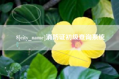 桂林消防证初级查询系统