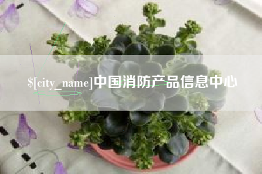 桂林中国消防产品信息中心