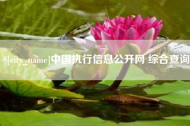 桂林中国执行信息公开网 综合查询