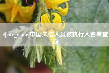 桂林中国失信人员被执行人名单查询