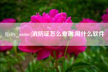 桂林消防证怎么查询,用什么软件