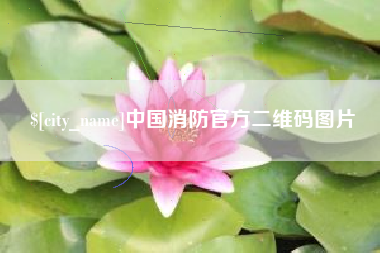 桂林中国消防官方二维码图片