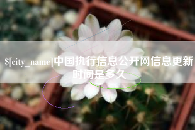 桂林中国执行信息公开网信息更新时间是多久