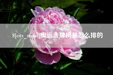 桂林奥运金牌榜是怎么排的