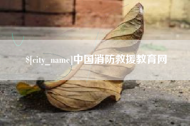 桂林中国消防救援教育网