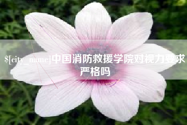 桂林中国消防救援学院对视力要求严格吗