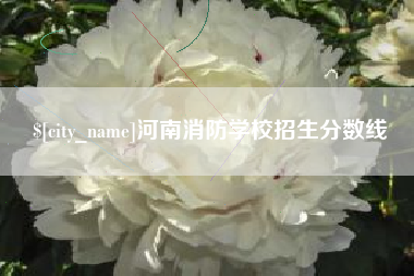 桂林河南消防学校招生分数线