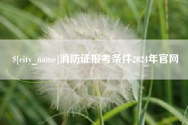 桂林消防证报考条件2024年官网