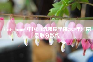 桂林中国消防救援学院2020年河南录取分数线