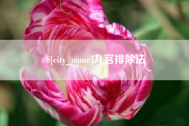 桂林九宫排除法
