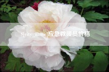桂林应急救援员价格