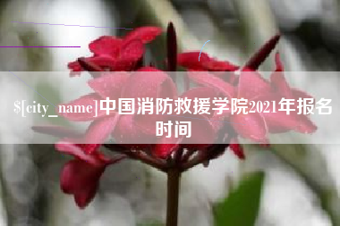 桂林中国消防救援学院2021年报名时间