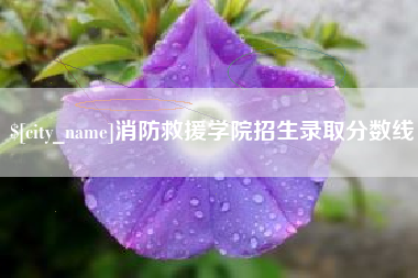 桂林消防救援学院招生录取分数线