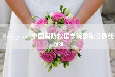 桂林中国消防救援学院录取分数线2020
