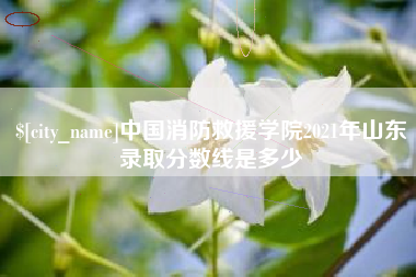 桂林中国消防救援学院2021年山东录取分数线是多少