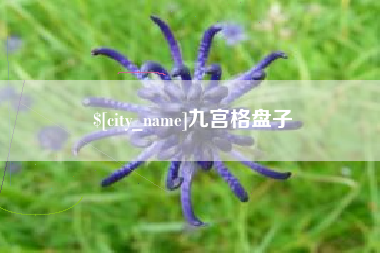 桂林九宫格盘子