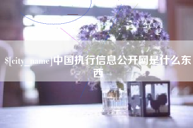 桂林中国执行信息公开网是什么东西