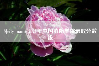 桂林2021年中国消防学院录取分数线