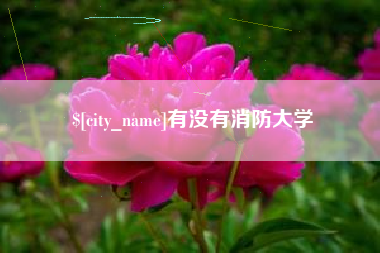 桂林有没有消防大学