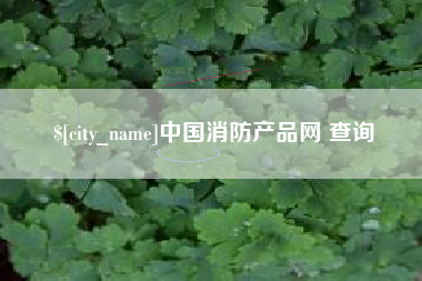 桂林中国消防产品网 查询