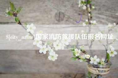 桂林国家消防救援队伍报名网址