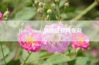 桂林消控证官网查询