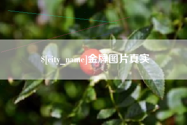 桂林金牌图片真实
