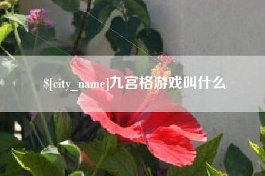 桂林九宫格游戏叫什么