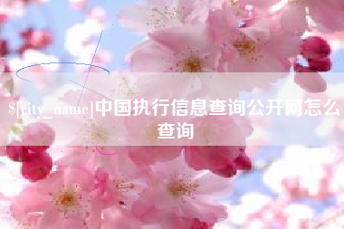 桂林中国执行信息查询公开网怎么查询