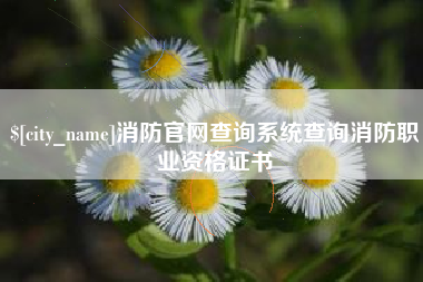桂林消防官网查询系统查询消防职业资格证书