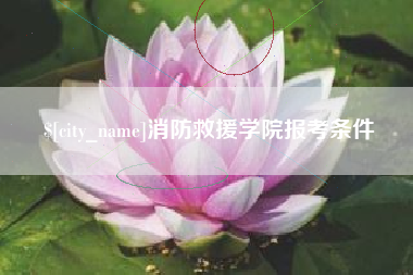 桂林消防救援学院报考条件
