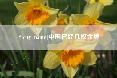 桂林中国已经几枚金牌