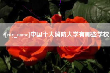 桂林中国十大消防大学有哪些学校