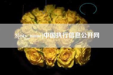 桂林中国执行信息公开网