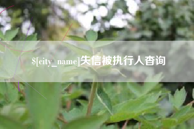 桂林失信被执行人杳询