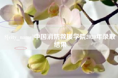 桂林中国消防救援学院2020年录取结果