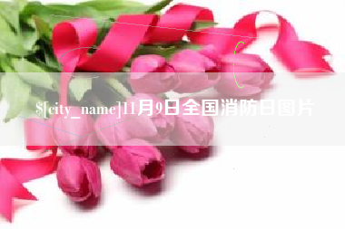 桂林11月9日全国消防日图片