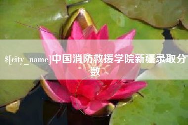 桂林中国消防救援学院新疆录取分数