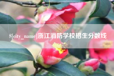 桂林浙江消防学校招生分数线